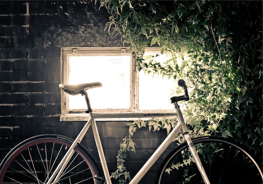 bike, bicycle, bricks, window, vines, leaves, transportation HD wallpaper