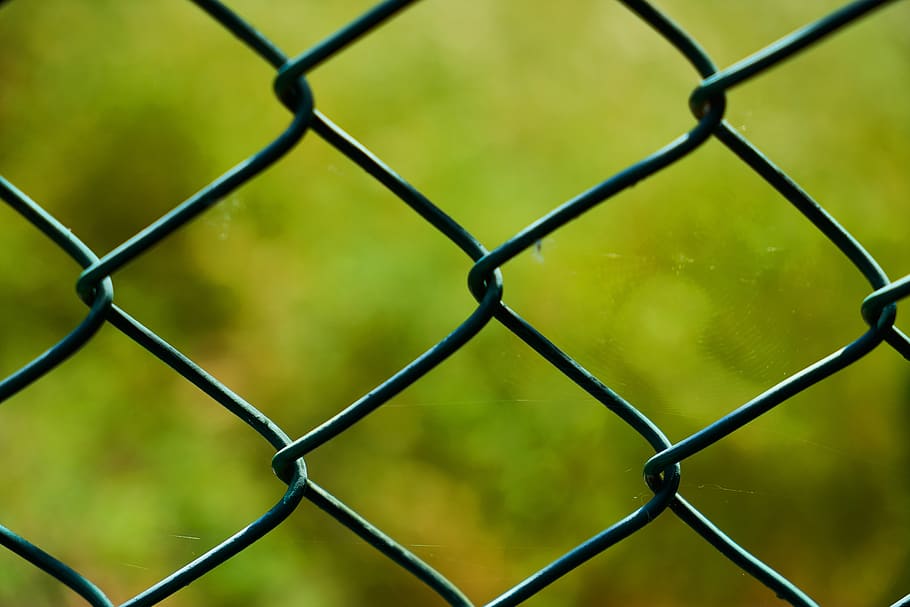 Black Cyclone Fence, blur, close-up, focus, lattice, macro, security HD wallpaper