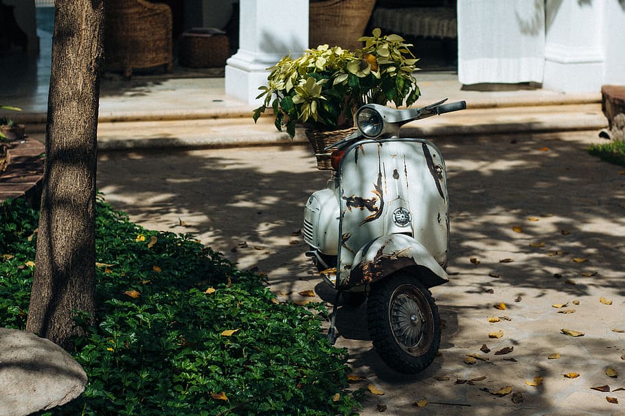 white motor scooter, transportation, motorcycle, vehicle, wheel HD wallpaper