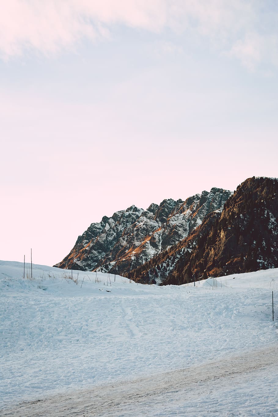 snow covered field under white sky during daytimer, beauty in nature HD wallpaper