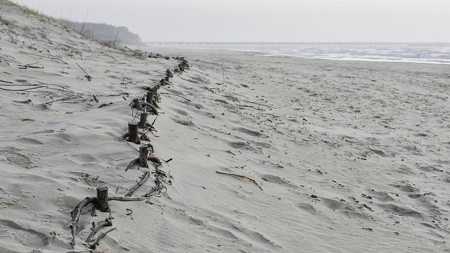 beach, dunes, sand, path, landscape, coast, nature, sea, seaside HD wallpaper