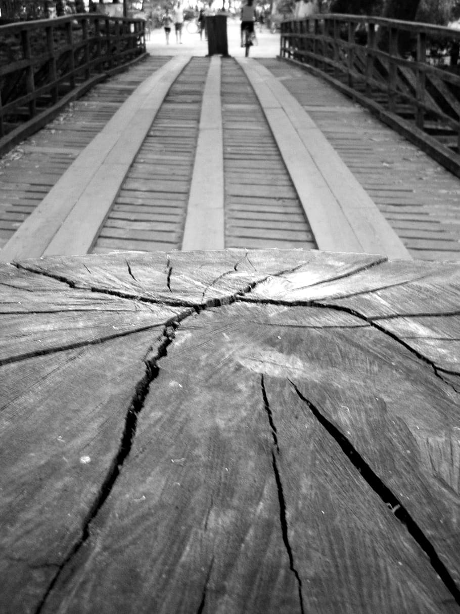 ponte, tarolo, madeira, wood - material, diminishing perspective HD wallpaper