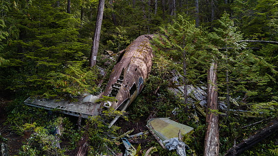 wrecked plane in forest during daytime, wreckage, crash, rust HD wallpaper