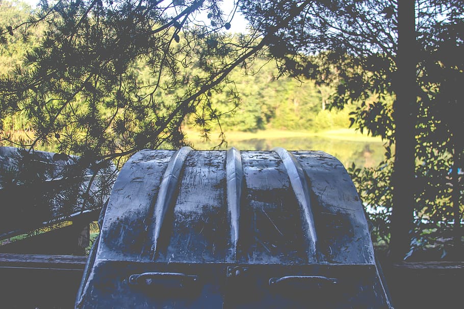 boat, lake, tress, pond, pine, row, water, fishing, tree, plant, HD wallpaper