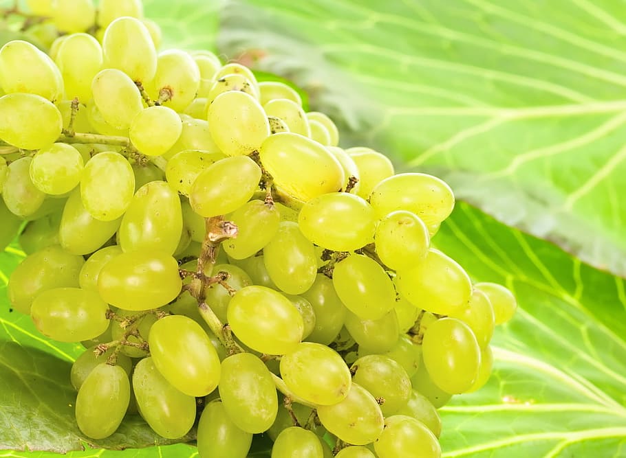 grape, grapes, yellow, green, leaf, food and drink, healthy eating HD wallpaper