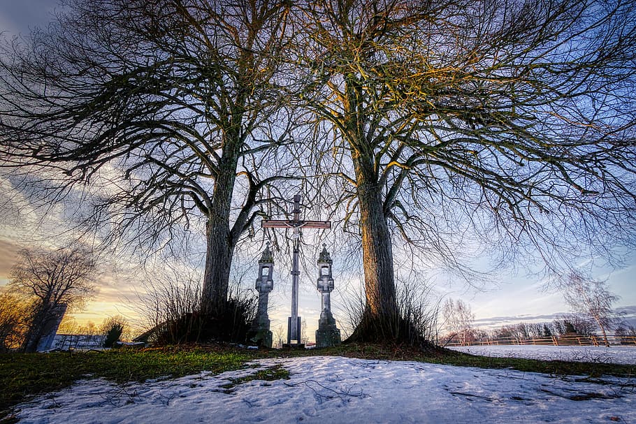 winter, tree, landscape, snow, nature, frosty, abendstimmung HD wallpaper