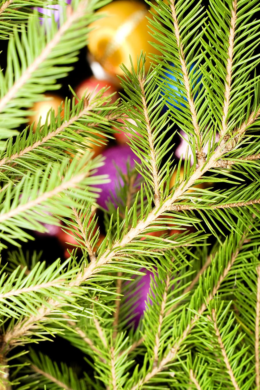 ball, bauble, black, bright, celebration, christmas, christmas-tree HD wallpaper