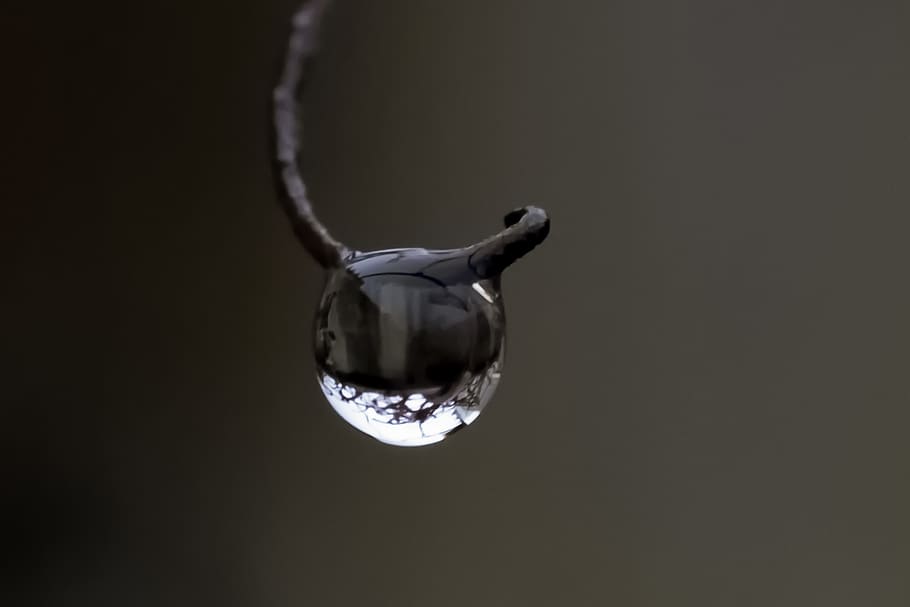 drop, rain, macro, closeup, studio shot, close-up, no people HD wallpaper