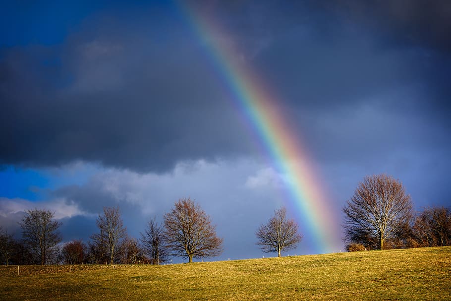 rainbow, evening light, nature, mood, landscape, abendstimmung HD wallpaper