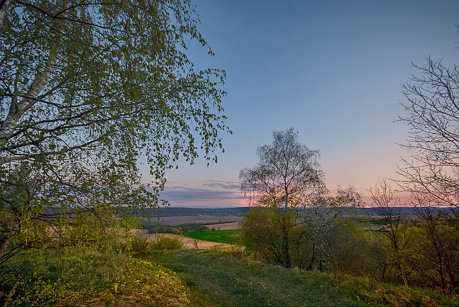 poland, spacer, sky, tree, nature, landscape, tourism, grass HD wallpaper