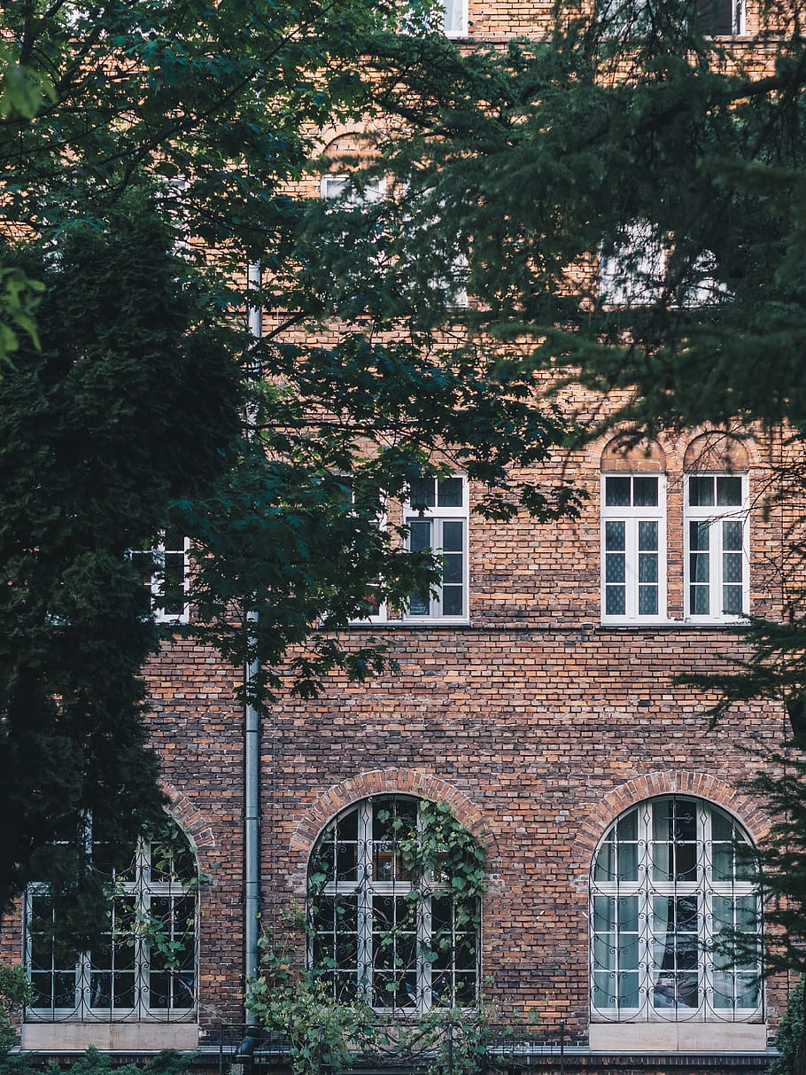 wall, building, nature, leaf, green, red, window, mystery, church HD wallpaper