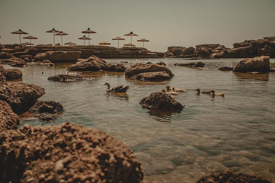 water, rock, solid, sky, rock - object, nature, sea, architecture HD wallpaper