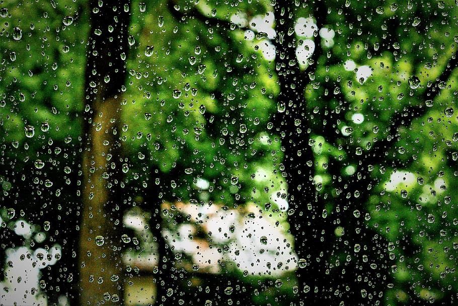 raindrop, water, wet, drop of water, window, nature, liquid HD wallpaper