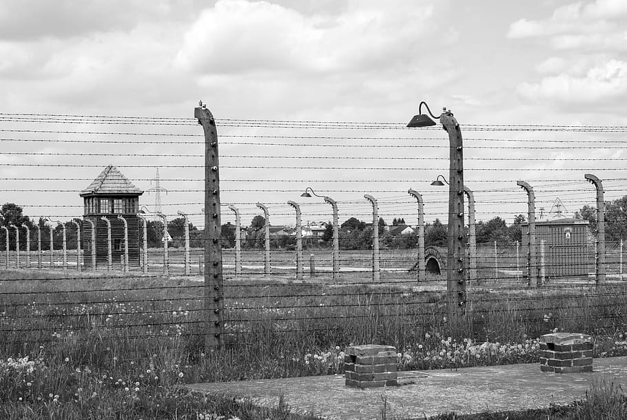 auschwitz, birkenau, the holocaust, the war, concentration camps, HD wallpaper