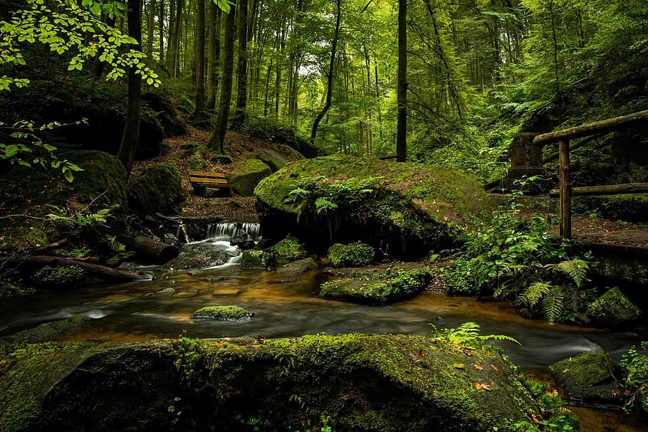 Waterfalls in Forest, bench, cascade, environment, flow, foliage HD wallpaper