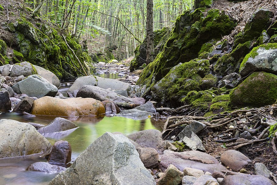 Grey Rocks on River Landscape Photography, flow, forest, moss HD wallpaper