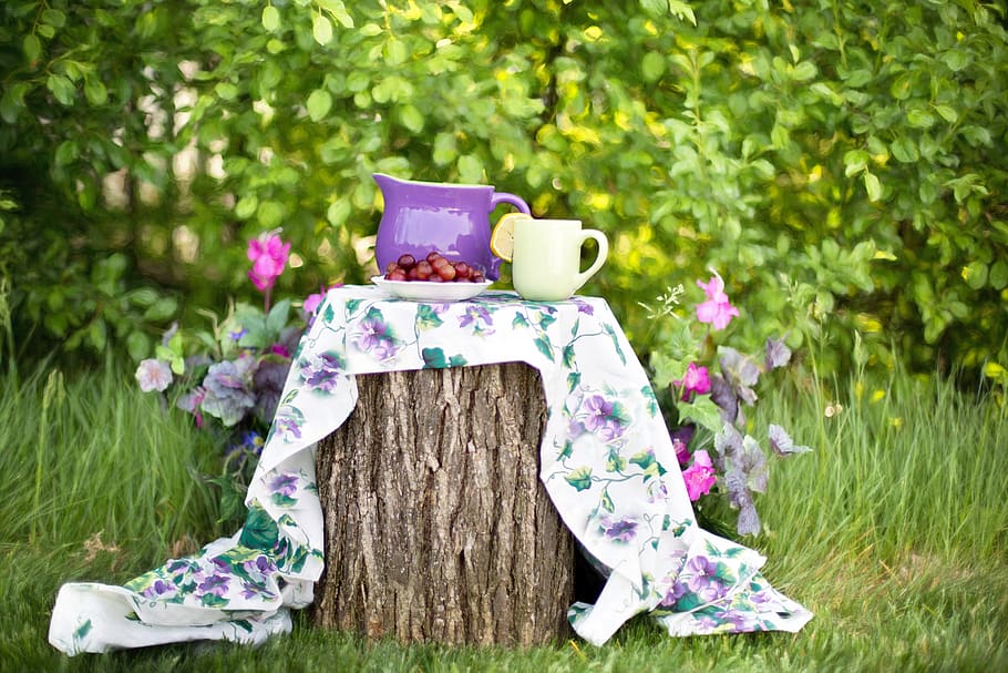 Purple Teapot With Yellow Mug on Top of Wood Log, bright, cloth HD wallpaper
