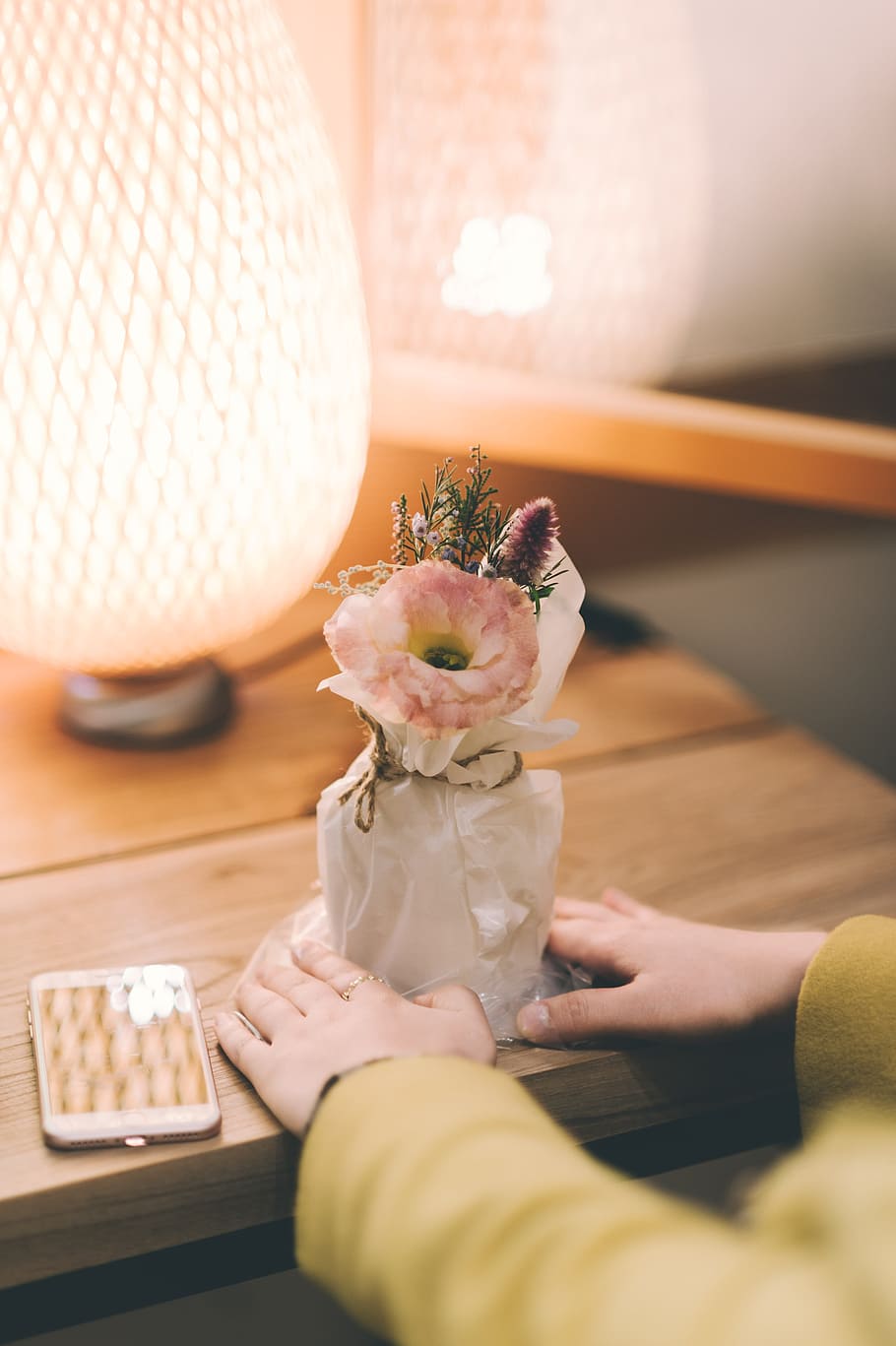 person holding white and pink flowers in pot on table, phone HD wallpaper