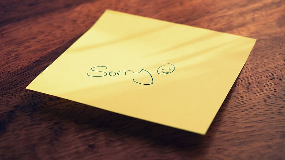 Sticky Note With Apology, message, adhesive note, text, yellow