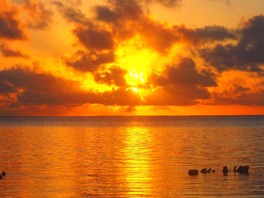 sunset, sky, orange color, water, scenics - nature, beauty in nature HD wallpaper