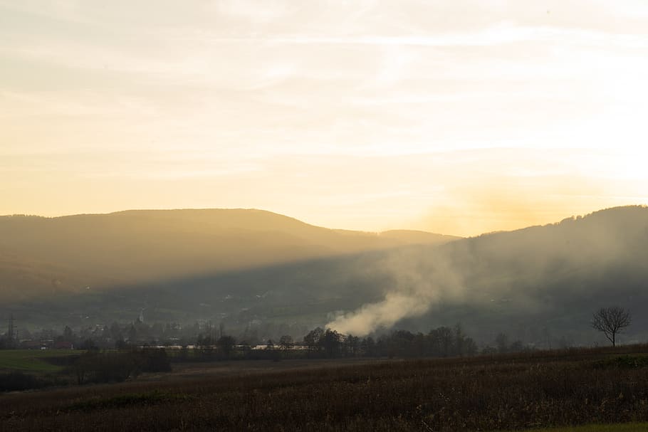 romania, șuncuiuș, tree, trees, fog, smoke, hill, village HD wallpaper