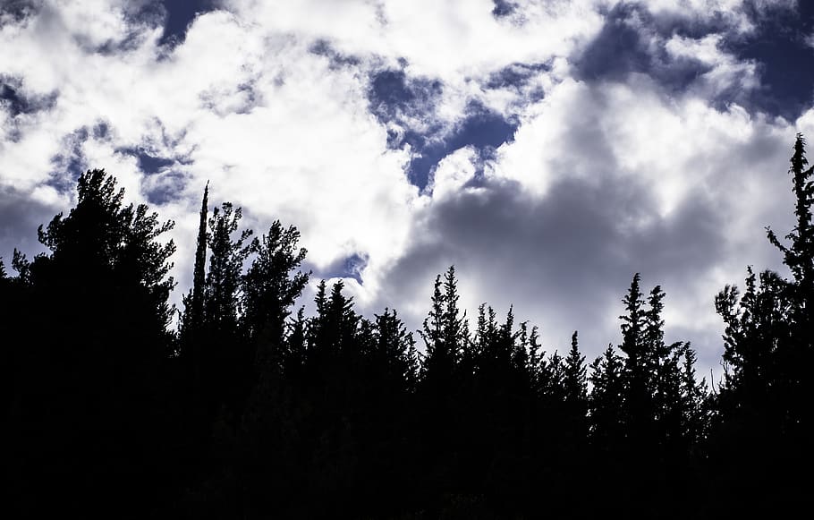 greece, nature, clouds, cloudscape, outdoor, forest, trees HD wallpaper