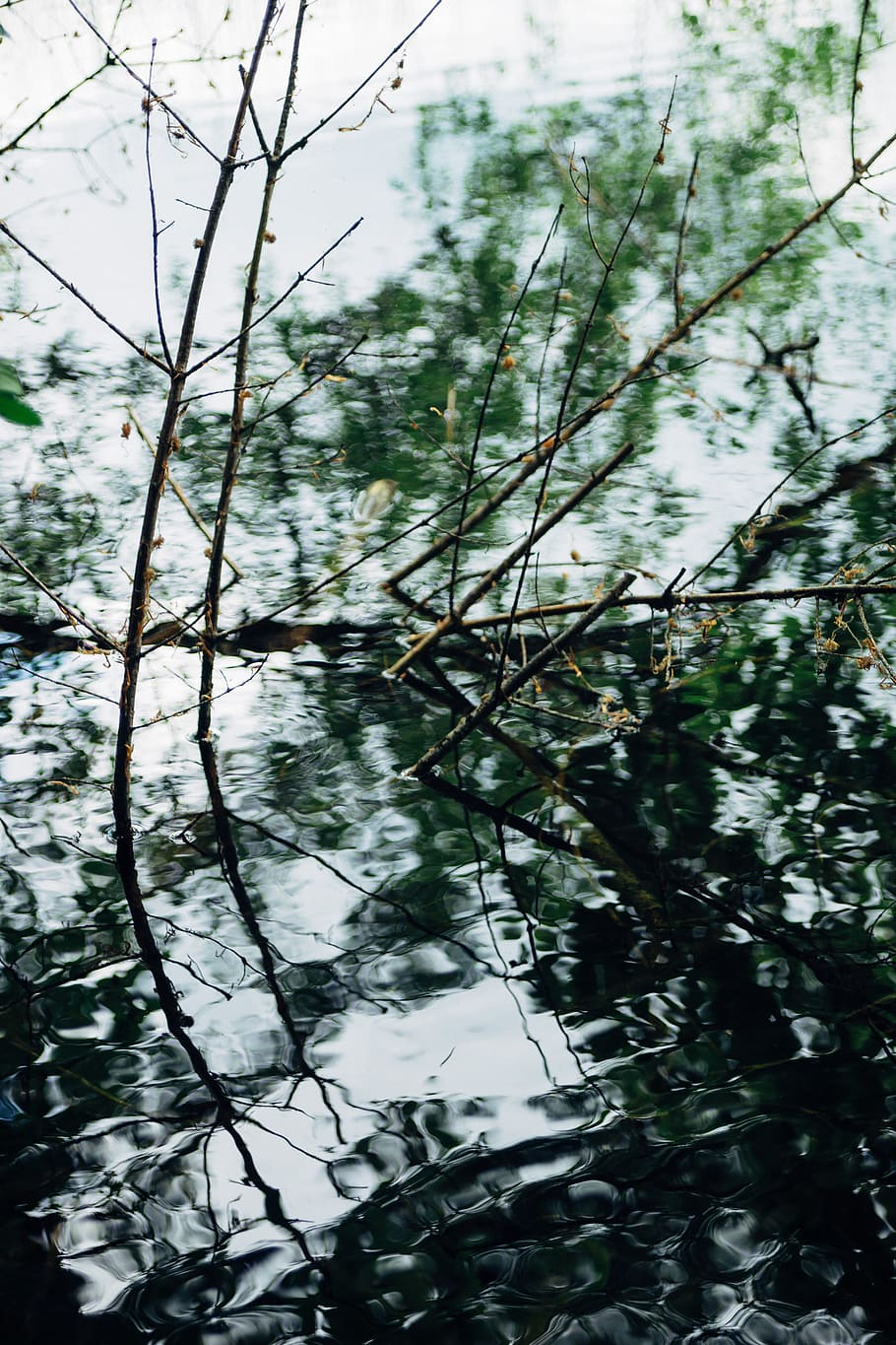 Water reflection, abstract, art, background, beautiful, beauty HD wallpaper
