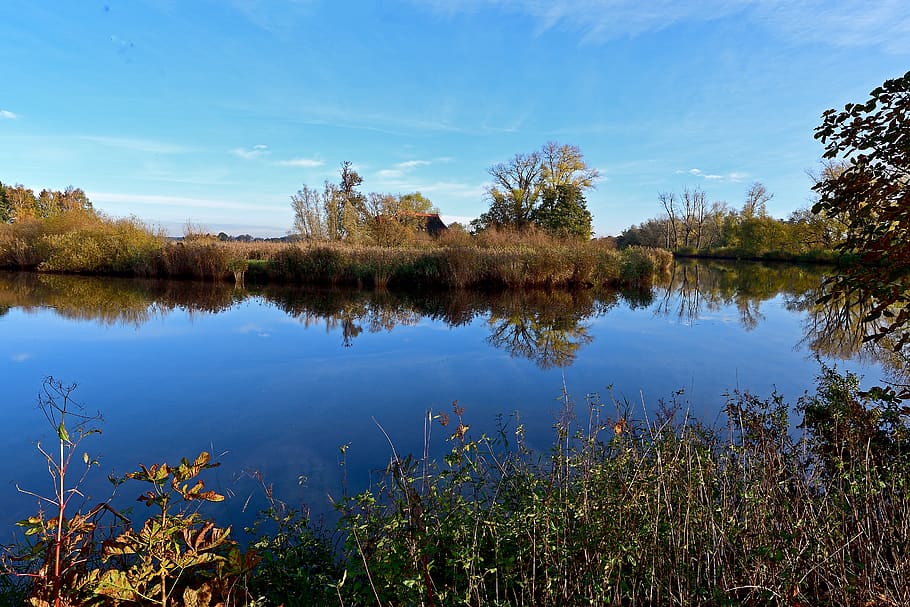 wümme, river, autumn, bremen, water, tranquility, plant, tranquil scene, HD wallpaper