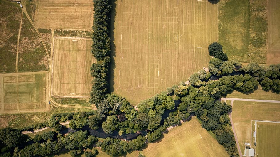 top view of trees, plant, field, conifer, flora, cwmbran, united kingdom HD wallpaper