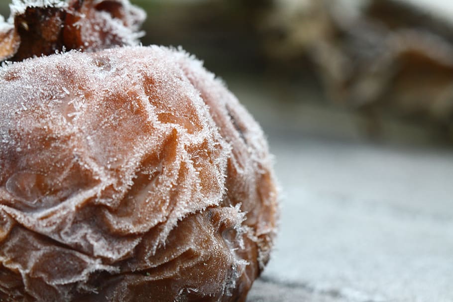 frost, fruit, cold, nature, frozen, ice, frosty, close-up, focus on foreground HD wallpaper