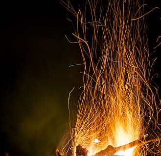 fire, flame, bonfire, outdoors, nature, plant, vegetation, silhouette HD wallpaper