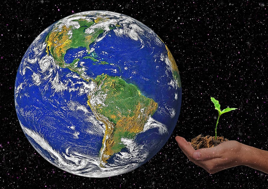 earth, globe hand, scion, hope, climate protection, world, universe, HD wallpaper