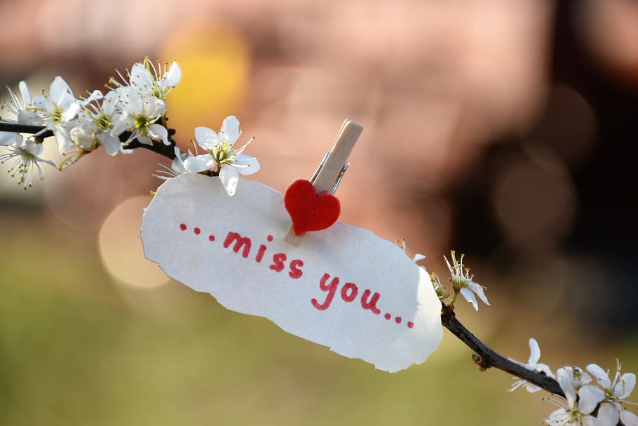 message, red heart, to lost love, spring, white flowers, railway, HD wallpaper