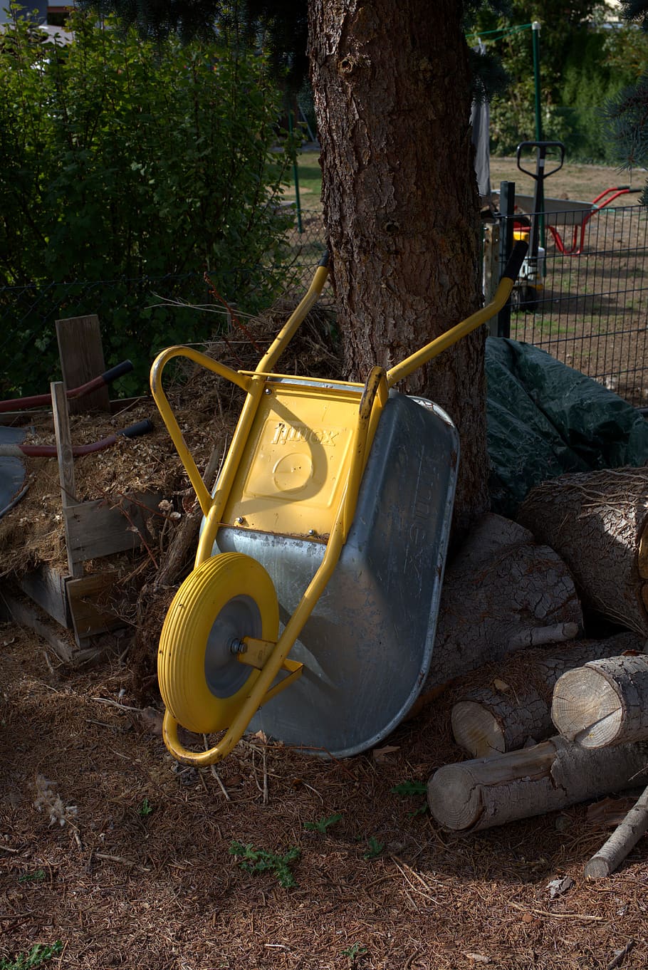 wheelbarrow, break, work, wood, tree, transport, day, plant HD wallpaper