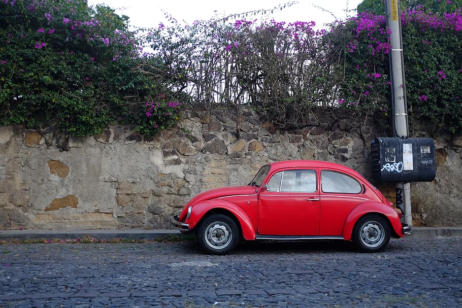 car, bug, beetle, road, flower, street, traffic, red, mode of transportation HD wallpaper