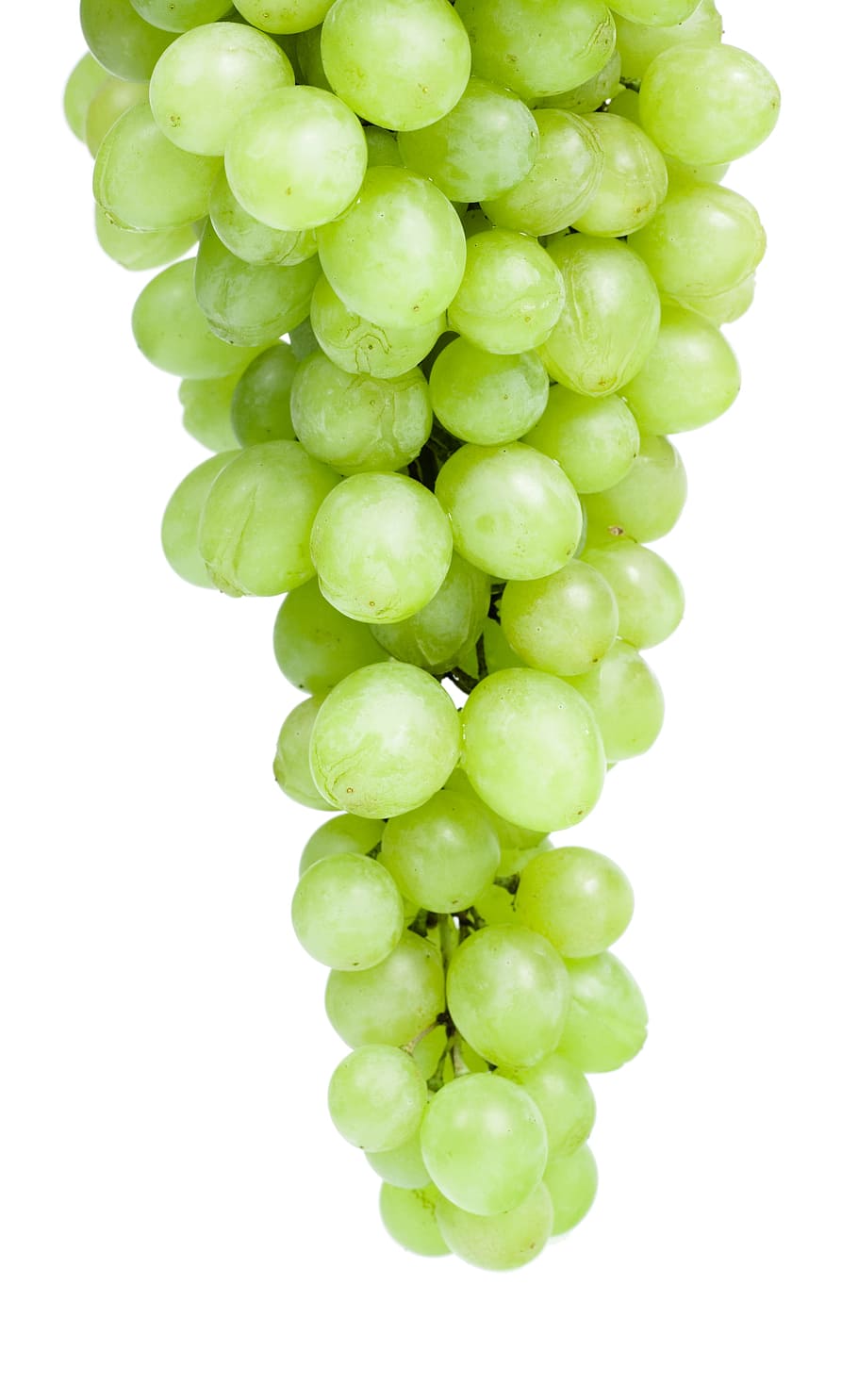 close-up, closeup, diet, dieting, eating, food, fresh, freshness HD wallpaper