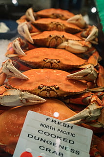 displayed fresh crabs, seafood, invertebrate, animal, sea life HD wallpaper