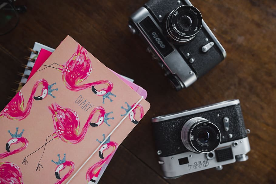 Old analog cameras and pink books on a wooden table, diary, flamingo HD wallpaper