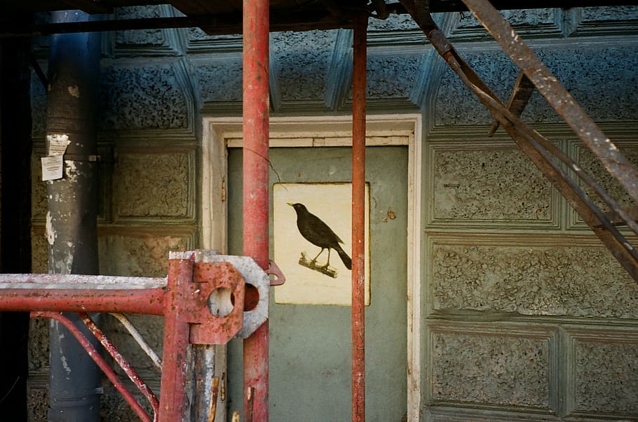 Brown Bird Painting on Door, close-up, construction, iron, ladder HD wallpaper