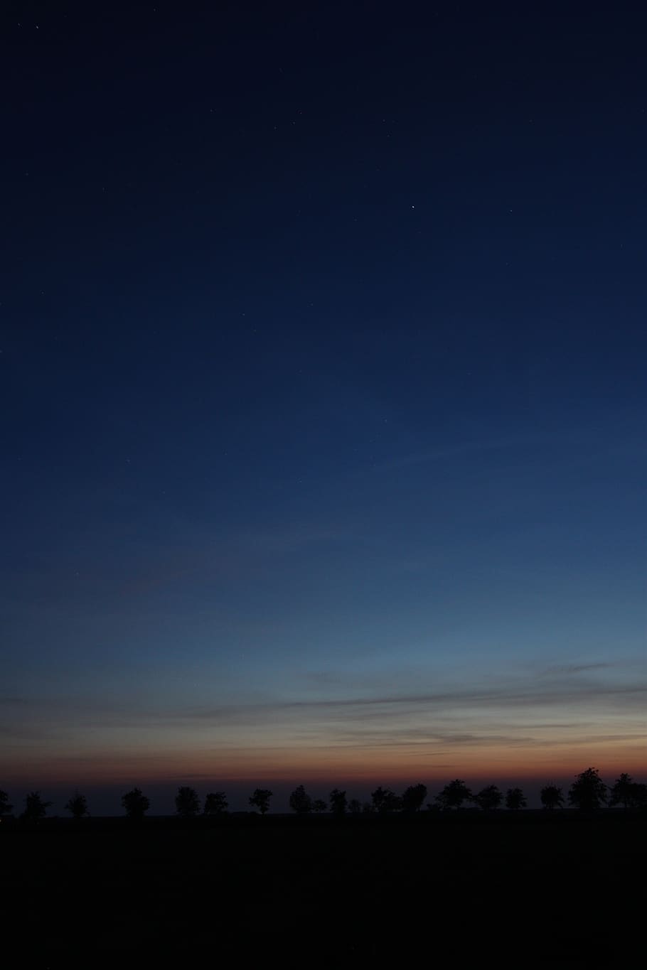 sunset, star, trees, avenue, night, dark, sky, scenics - nature HD wallpaper