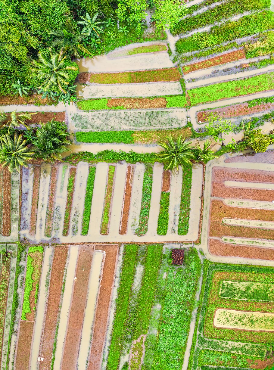 Aerial View of Farm Landscape, abstract, agriculture, art, artistic, HD wallpaper