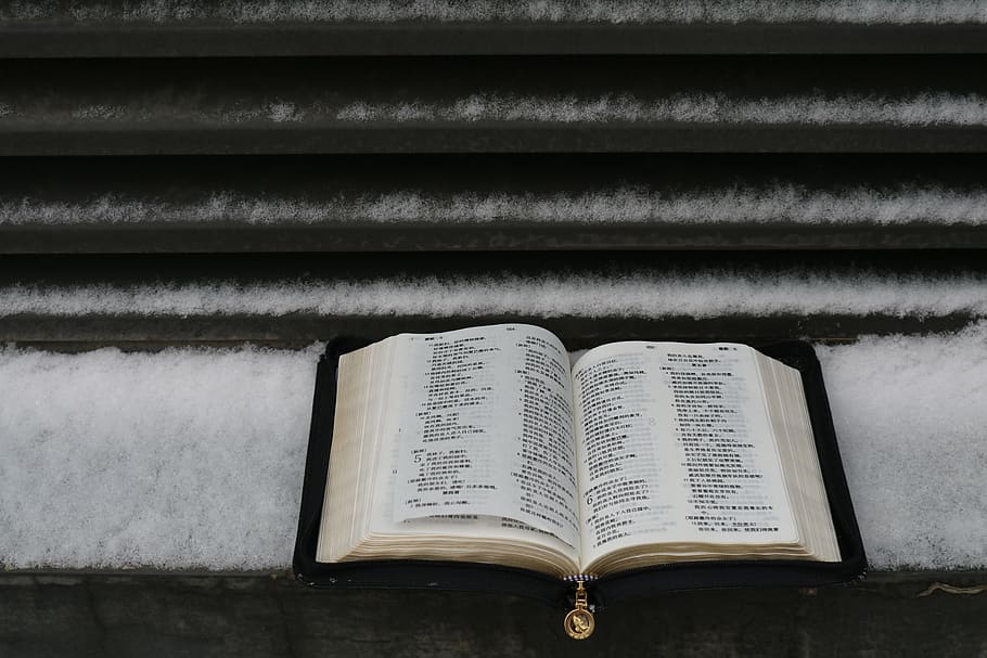 open book on gray concrete pavement, snow, holy bible, text, novel, HD wallpaper