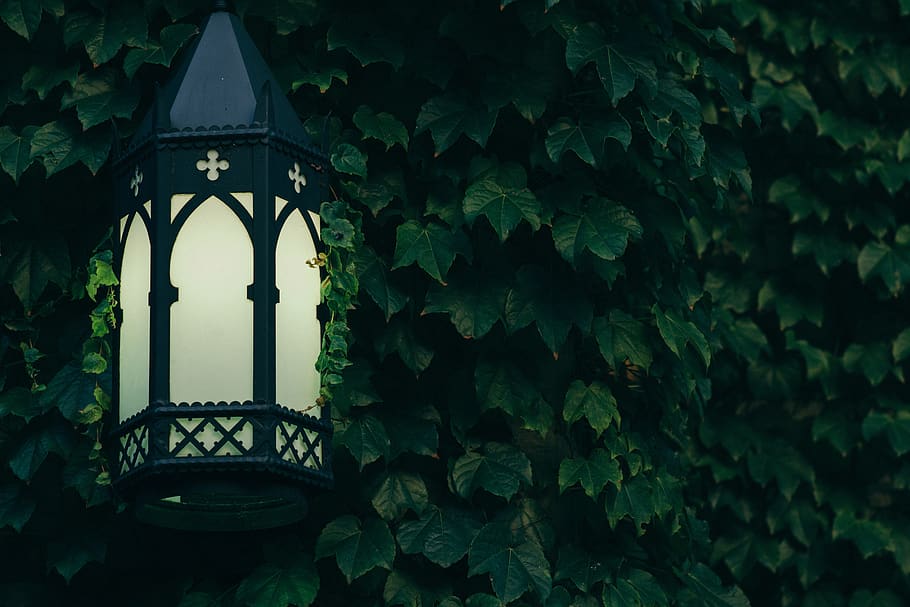 still, items, things, decorative, light, lamp, post, scone HD wallpaper