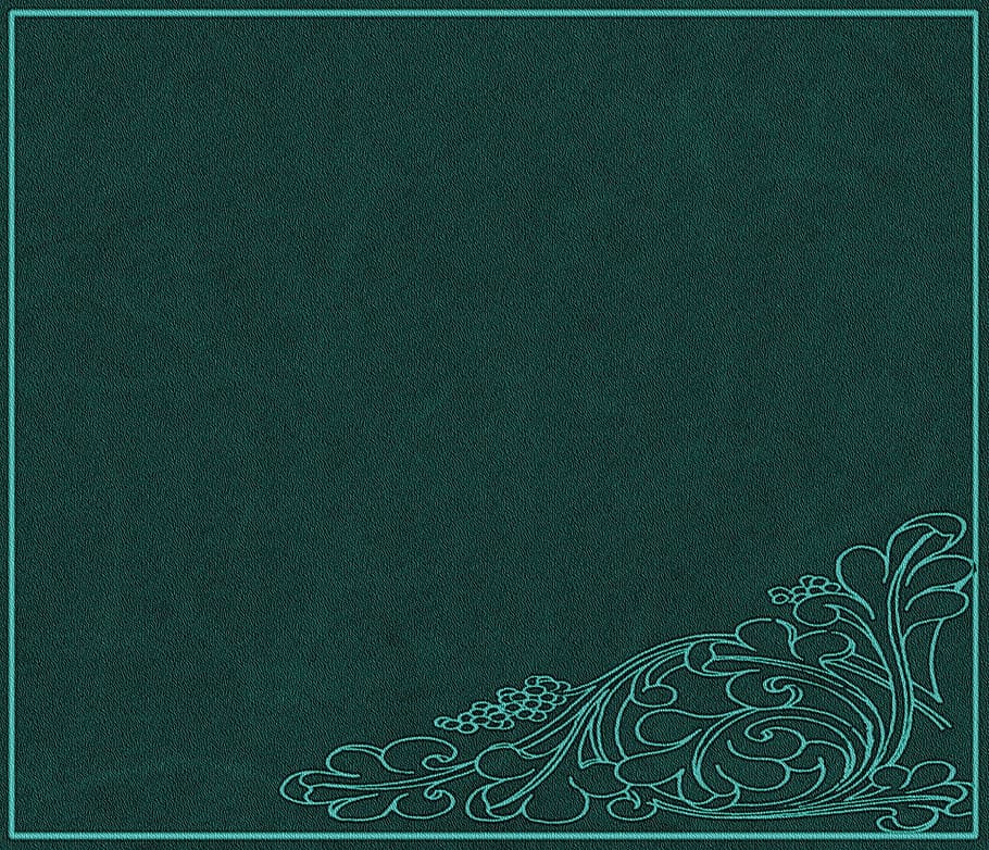 texture, flower, nature, graphics, backgrounds, copy space HD wallpaper