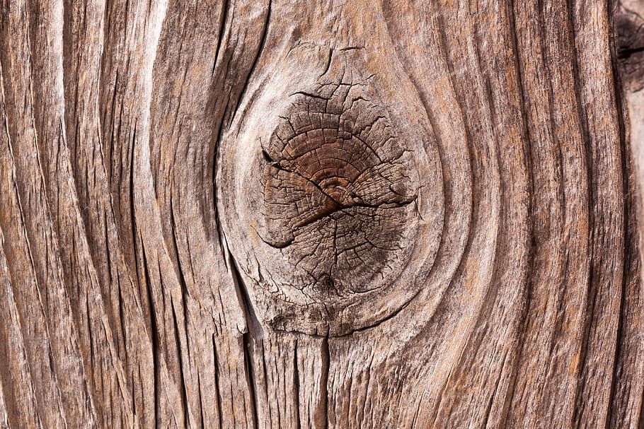 Closeup Photo of Brown Log, background, carpentry, crack, hardwood HD wallpaper