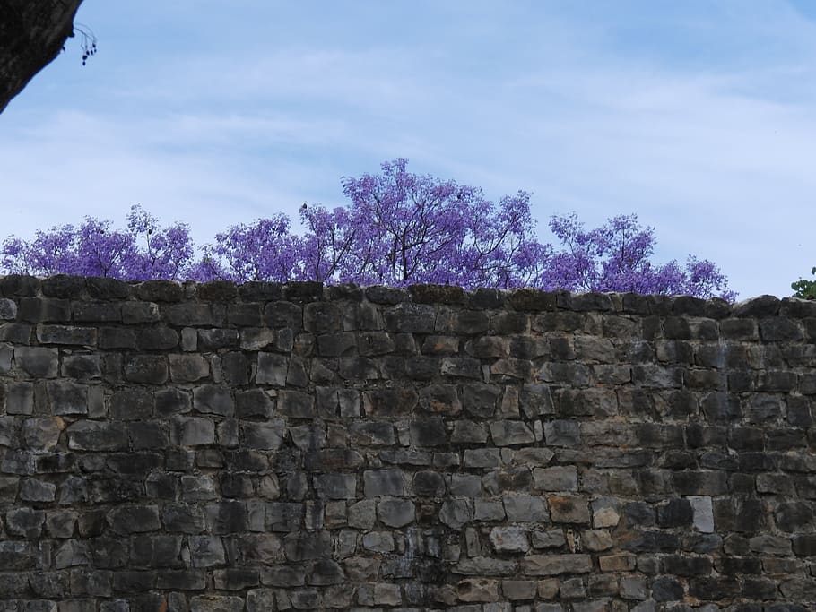 wall, walkway, path, stone wall, sines city park, sidewalk HD wallpaper