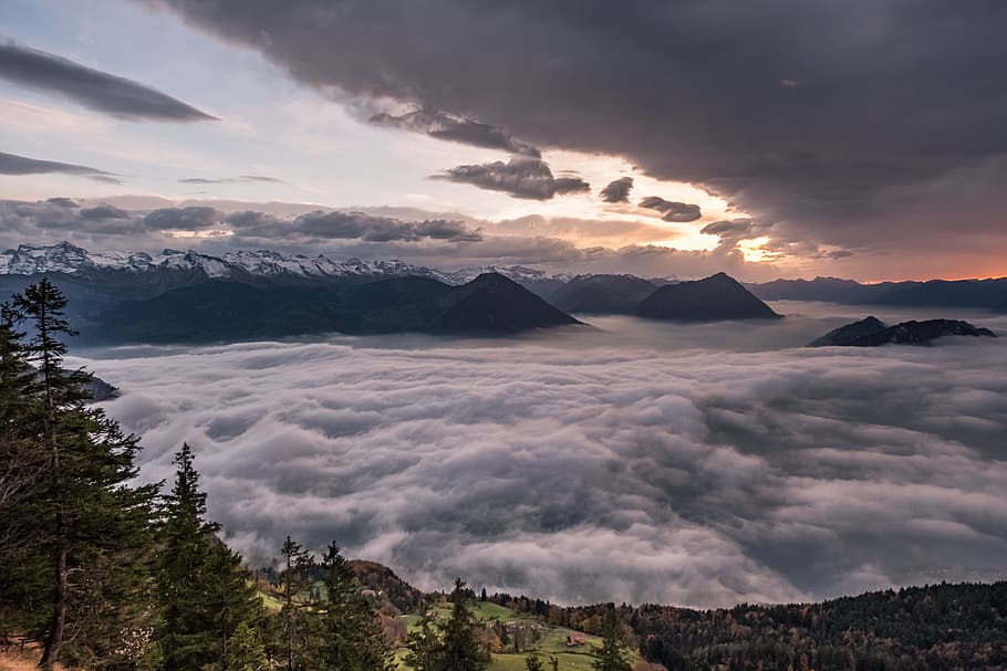 mountains surrounded by trees, alp, covered, mystic, sunset, mist HD wallpaper
