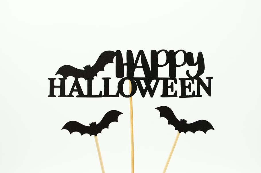 happy halloween text, communication, western script, studio shot HD wallpaper