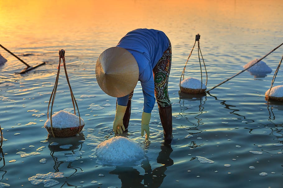 Person Standing on Shore, basket, beach, bubbles, dawn, farmer HD wallpaper