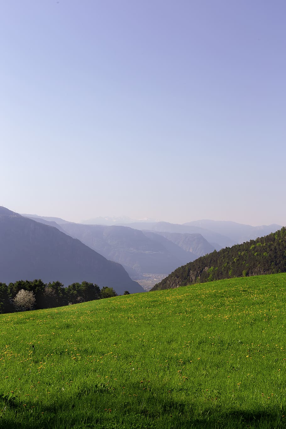 Landscape Photography of Green Grass Field, daylight, environment HD wallpaper